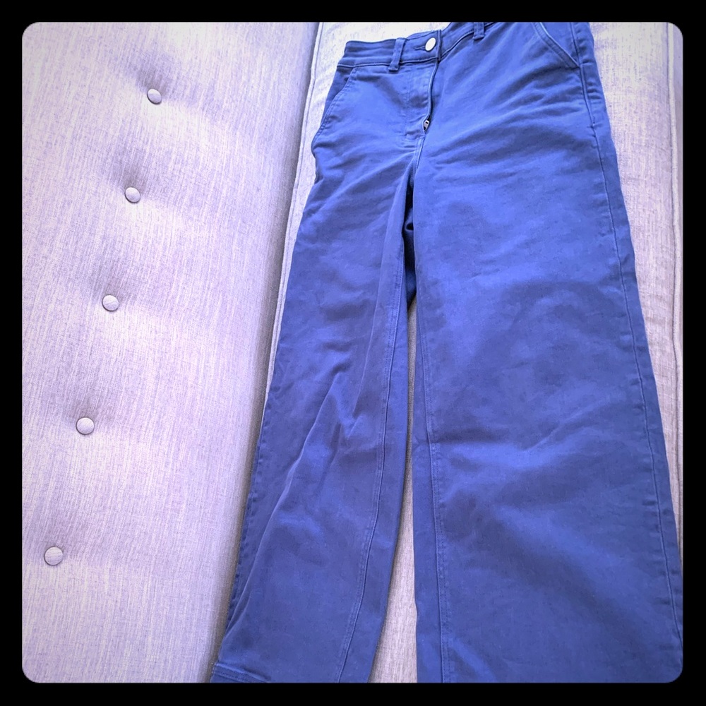 Everlane The Wide Leg Crop pant in blue size 4